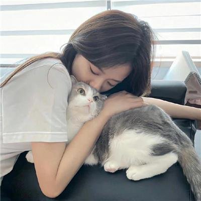 玉米上的麻雀